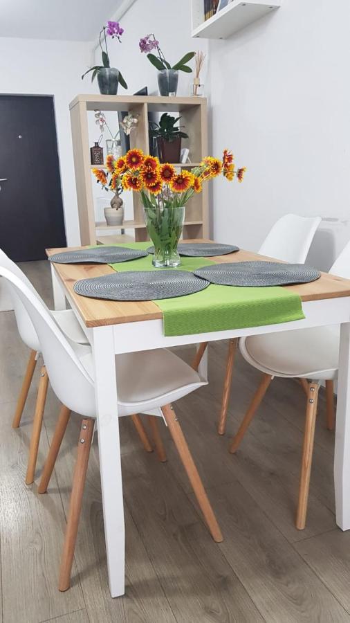 Apartament Karina ナボダリ エクステリア 写真